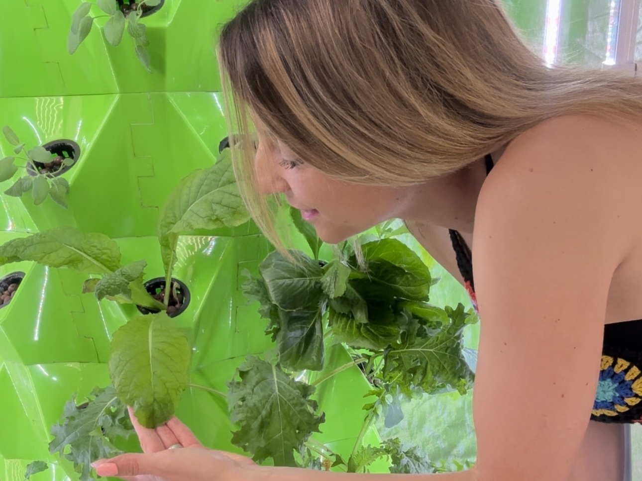 The Fresh Princess Aeroponics