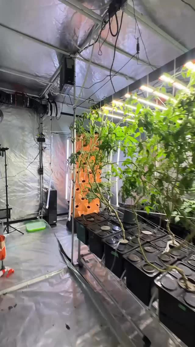 Instagram post from thefreshprincess__. This post is in position 2.