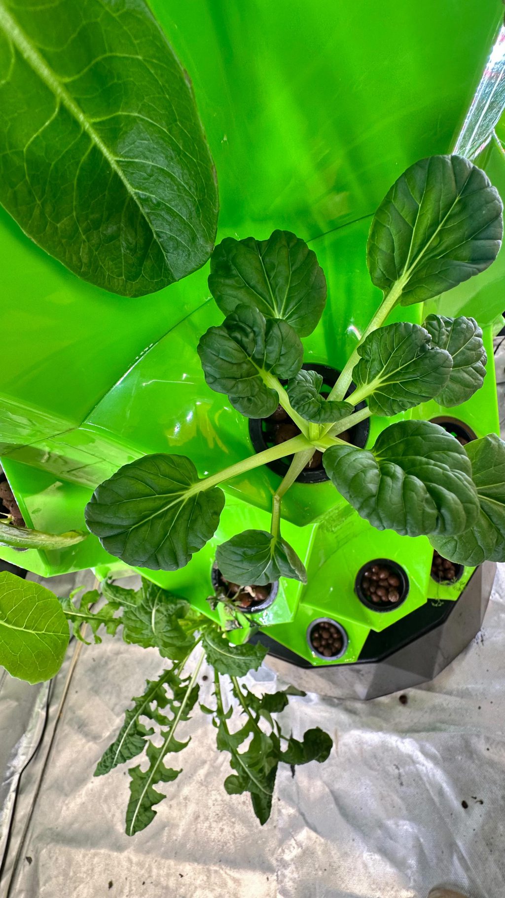 Instagram post from thefreshprincess__. This post is in position 0.