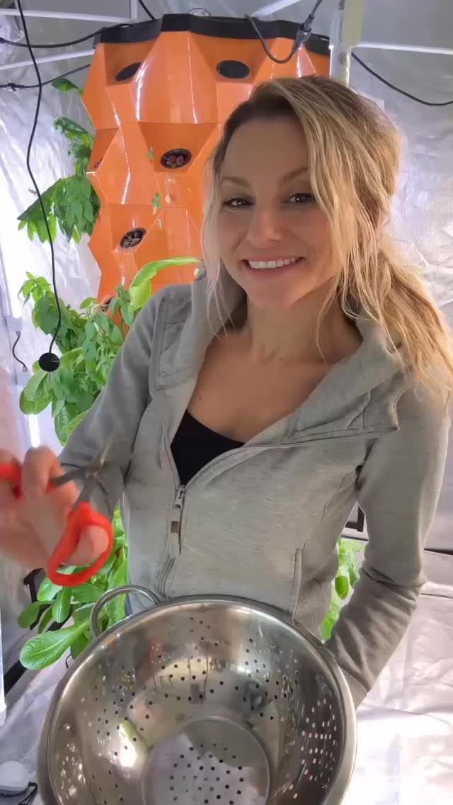 Instagram post from thefreshprincess__. This post is in position 1.