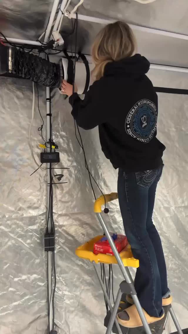 Instagram post from thefreshprincess__. This post is in position 2.