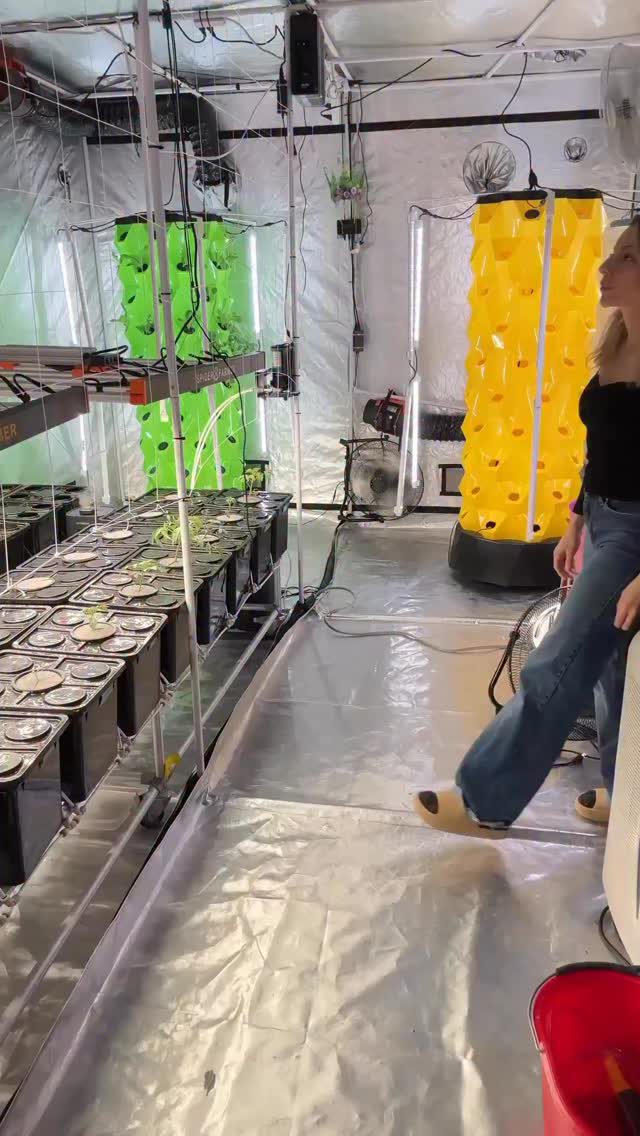 Instagram post from thefreshprincess__. This post is in position 8.