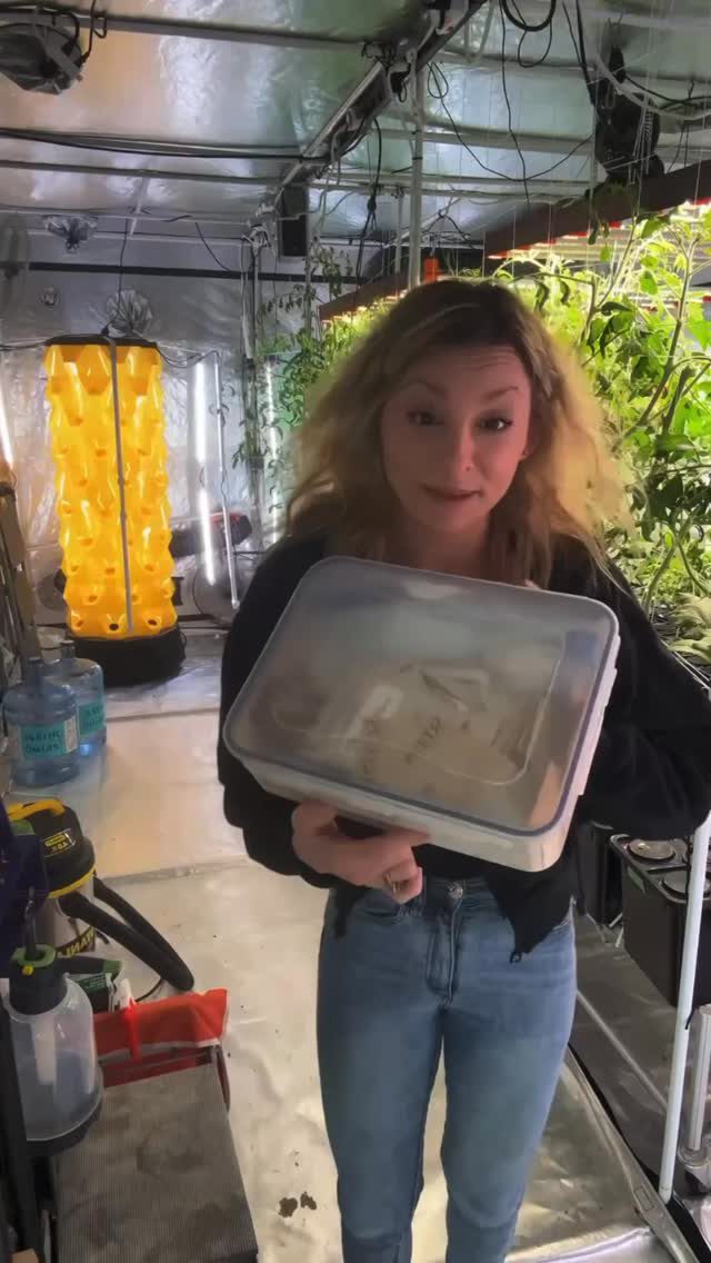 Instagram post from thefreshprincess__. This post is in position 0.