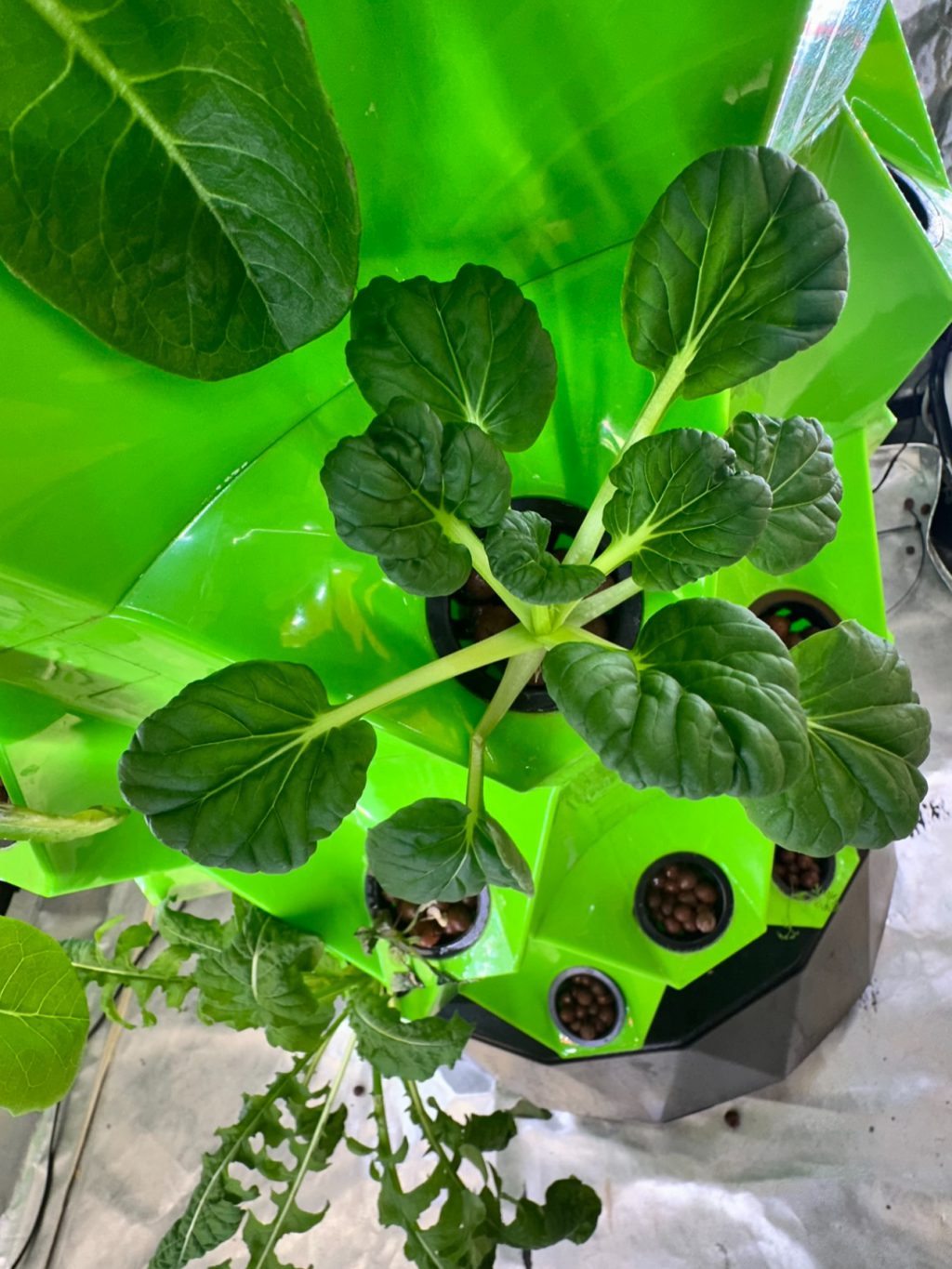 Instagram post from thefreshprincess__. This post is in position 12.