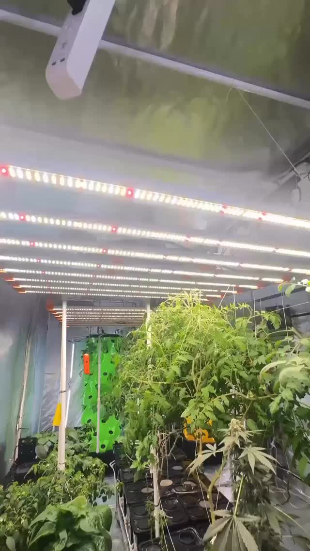 Instagram post from thefreshprincess__. This post is in position 2.