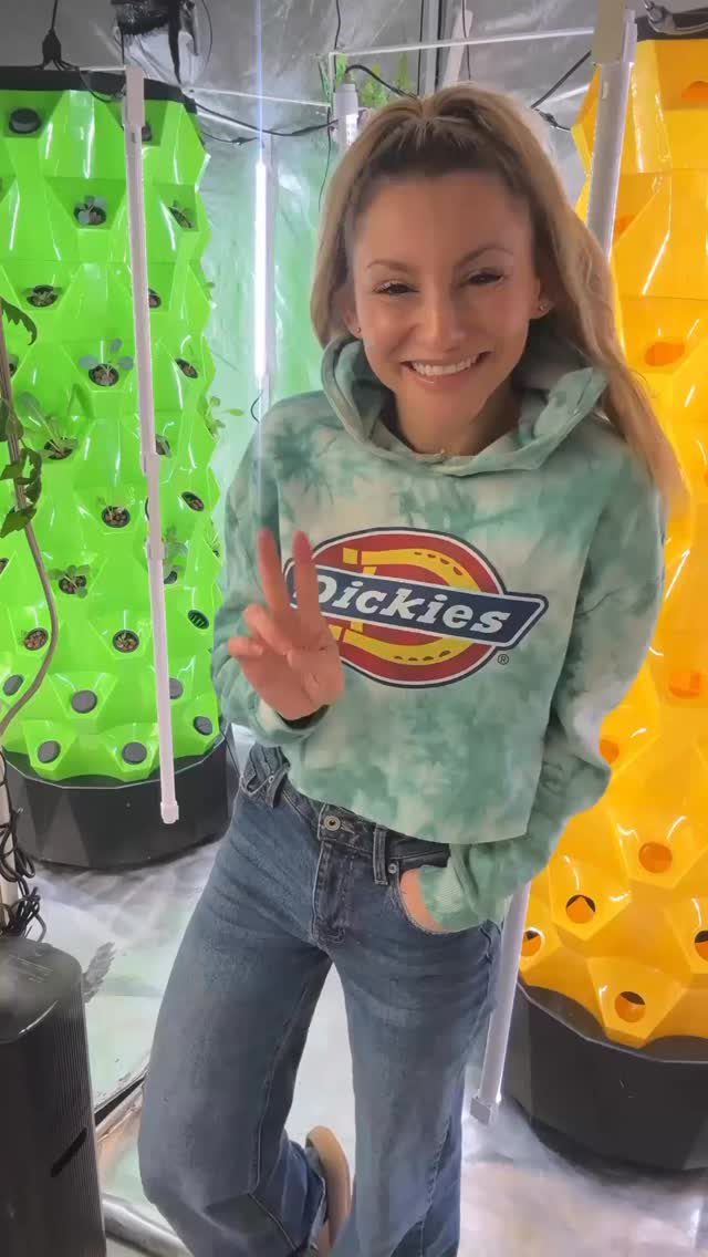 Instagram post from thefreshprincess__. This post is in position 0.