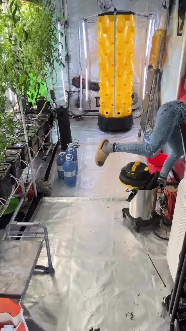 Instagram post from thefreshprincess__. This post is in position 0.