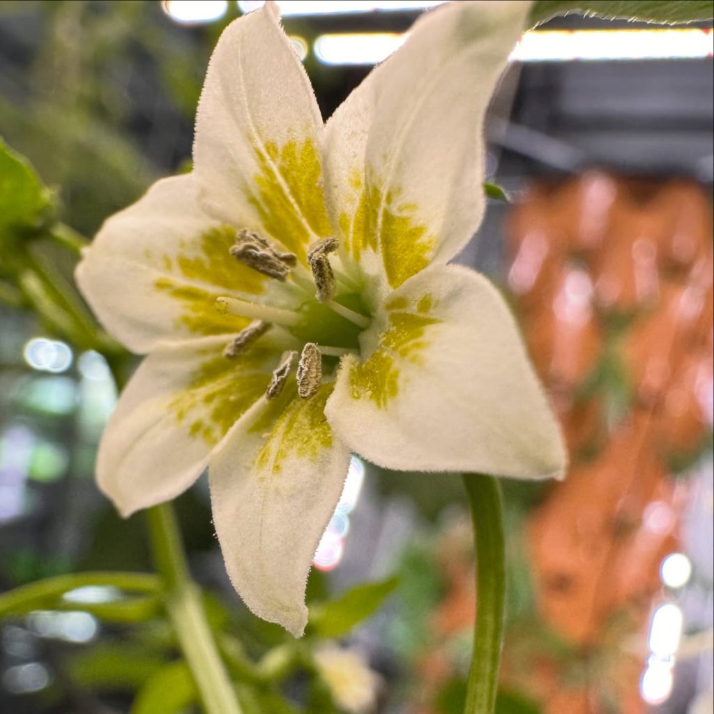 Instagram post from thefreshprincess__. This post is in position 3.