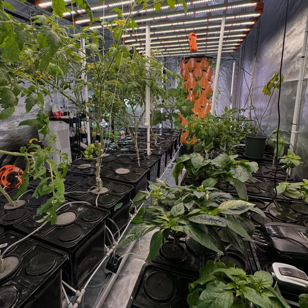 Instagram post from thefreshprincess__. This post is in position 10.