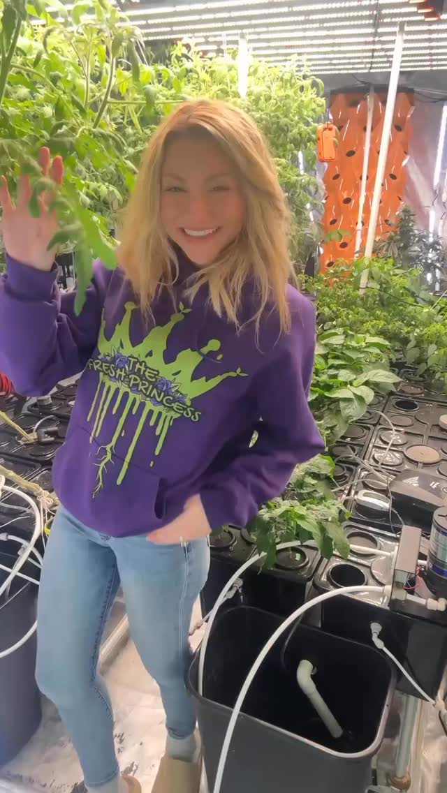 Instagram post from thefreshprincess__. This post is in position 2.