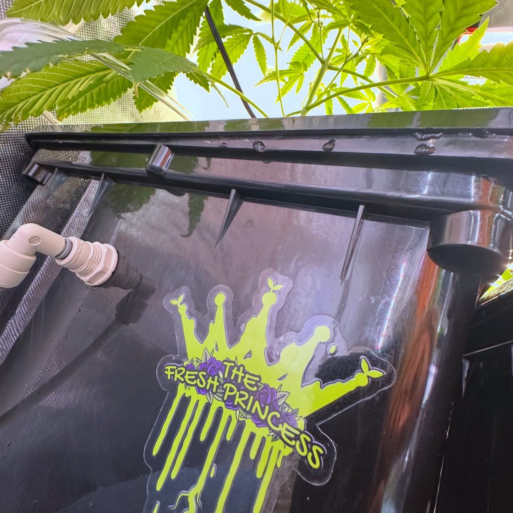 Instagram post from thefreshprincess__. This post is in position 5.