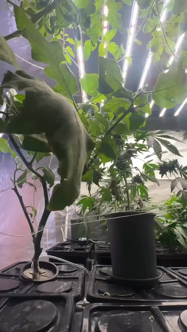 Instagram post from thefreshprincess__. This post is in position 2.