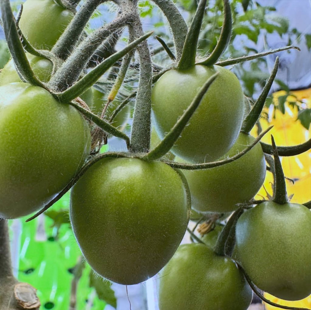 Instagram post from thefreshprincess__. This post is in position 7.