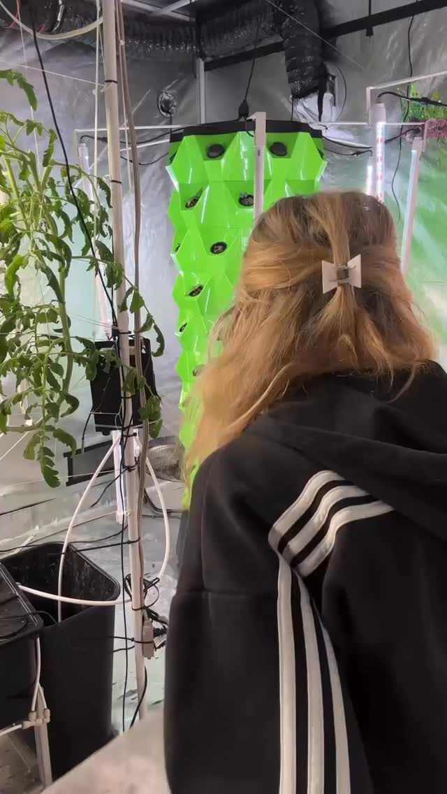 Instagram post from thefreshprincess__. This post is in position 0.