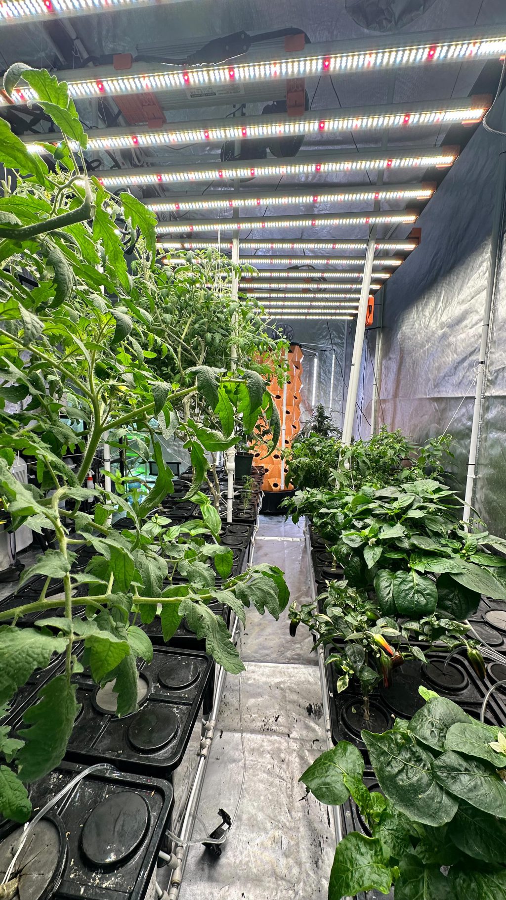 Instagram post from thefreshprincess__. This post is in position 1.