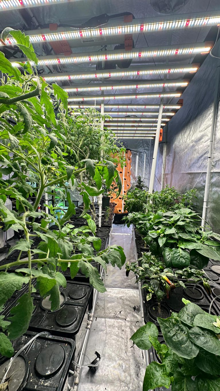 Instagram post from thefreshprincess__. This post is in position 2.