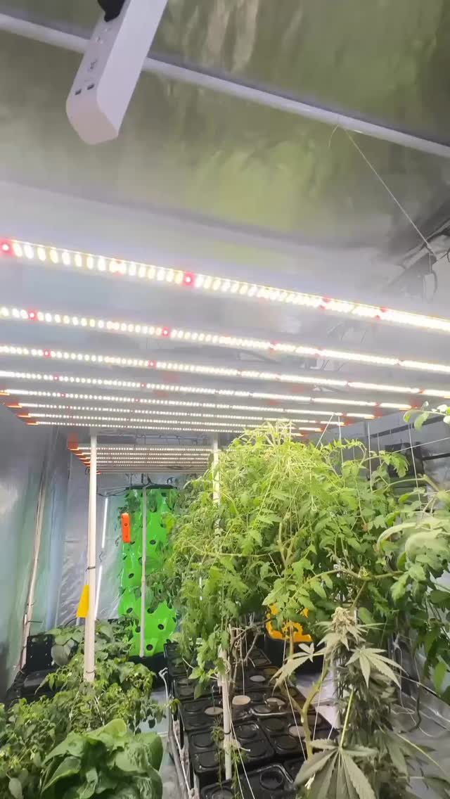 Instagram post from thefreshprincess__. This post is in position 1.