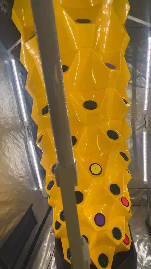 Instagram post from thefreshprincess__. This post is in position 1.