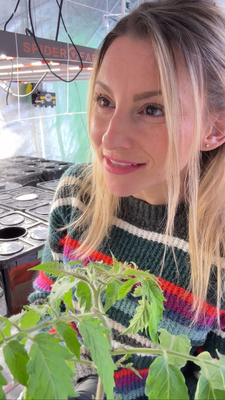 Instagram post from thefreshprincess__. This post is in position 4.