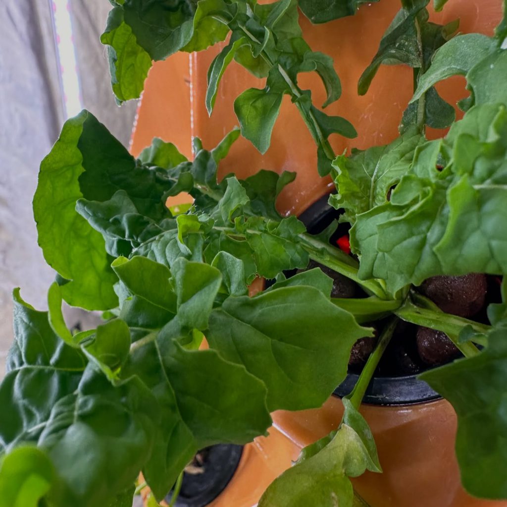 Instagram post from thefreshprincess__. This post is in position 8.