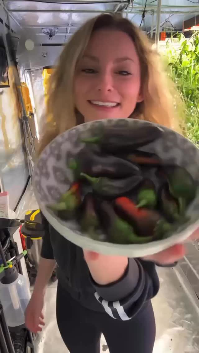 Instagram post from thefreshprincess__. This post is in position 1.