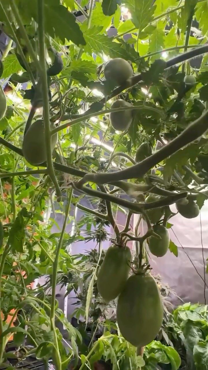 Instagram post from thefreshprincess__. This post is in position 3.