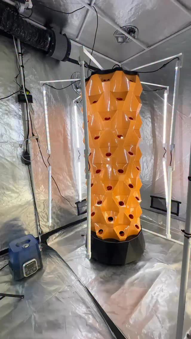 Instagram post from thefreshprincess__. This post is in position 2.