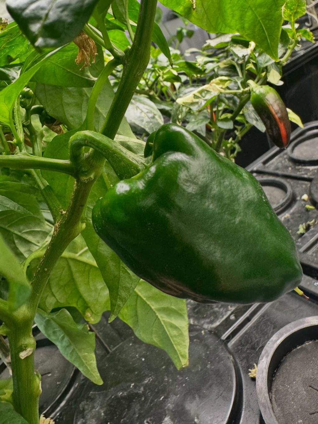 Instagram post from thefreshprincess__. This post is in position 16.