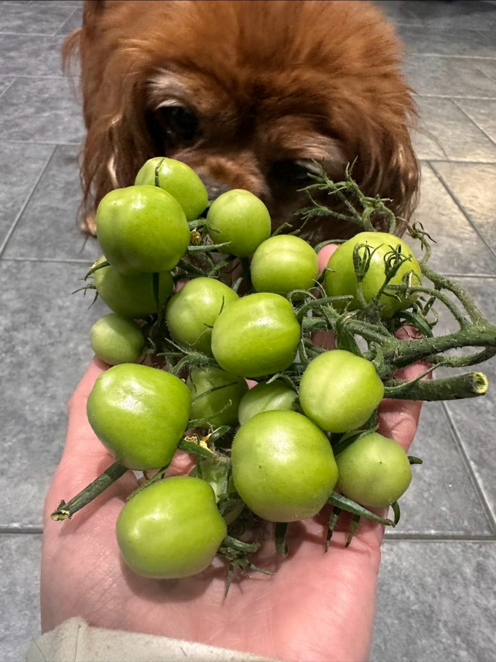 Instagram post from thefreshprincess__. This post is in position 5.