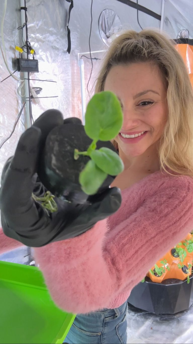 Instagram post from thefreshprincess__. This post is in position 6.