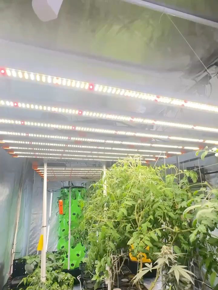 Instagram post from thefreshprincess__. This post is in position 14.