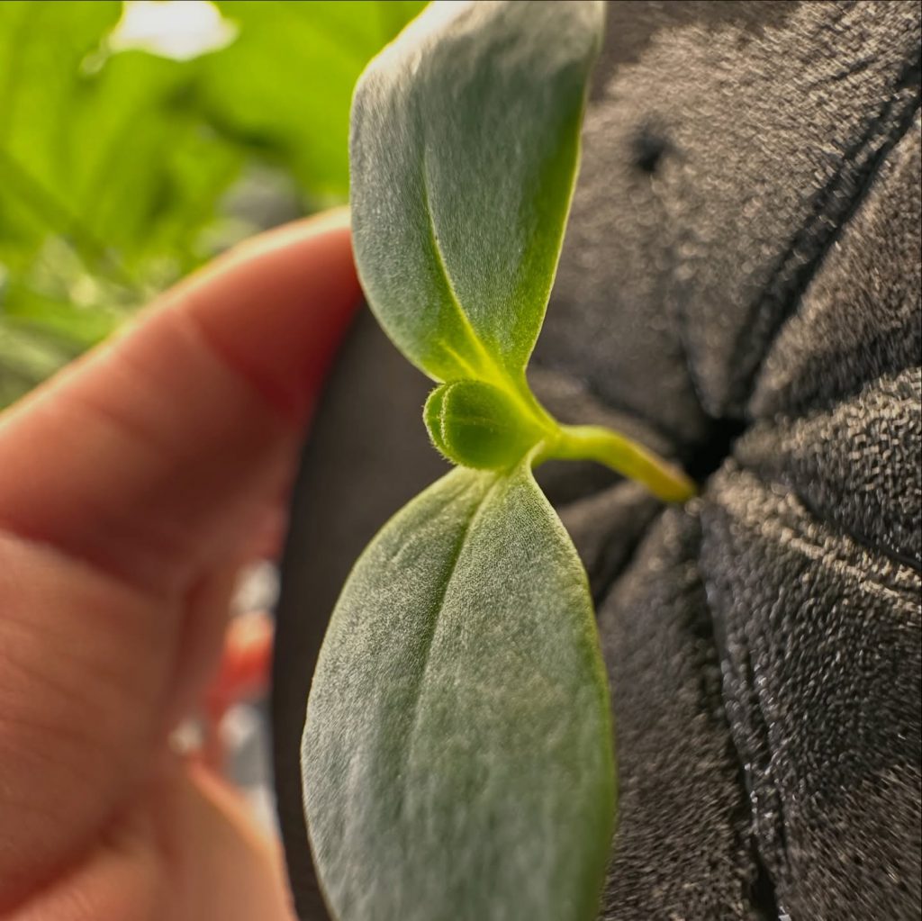 Instagram post from thefreshprincess__. This post is in position 4.