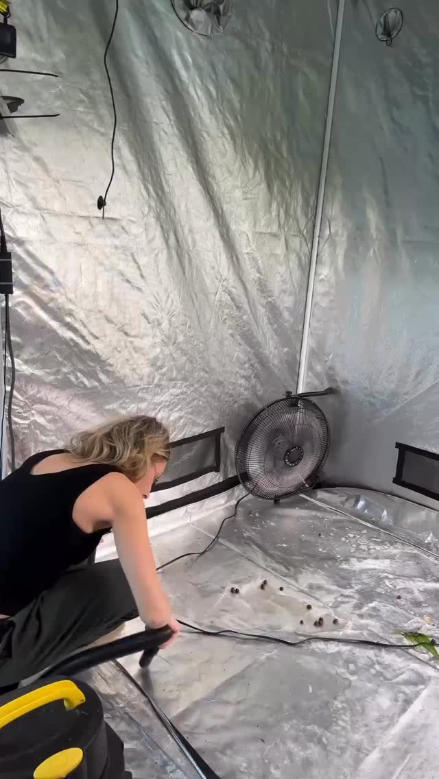 Instagram post from thefreshprincess__. This post is in position 5.