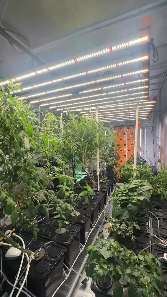 Instagram post from thefreshprincess__. This post is in position 1.