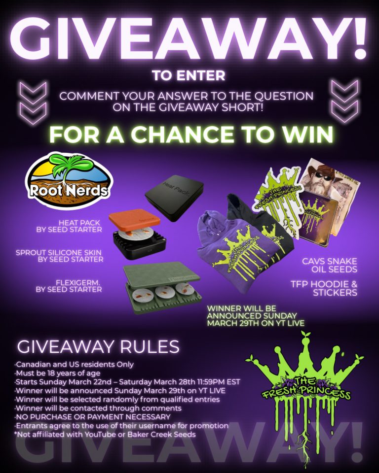 Instagram post from thefreshprincess__. This post is in position 3.