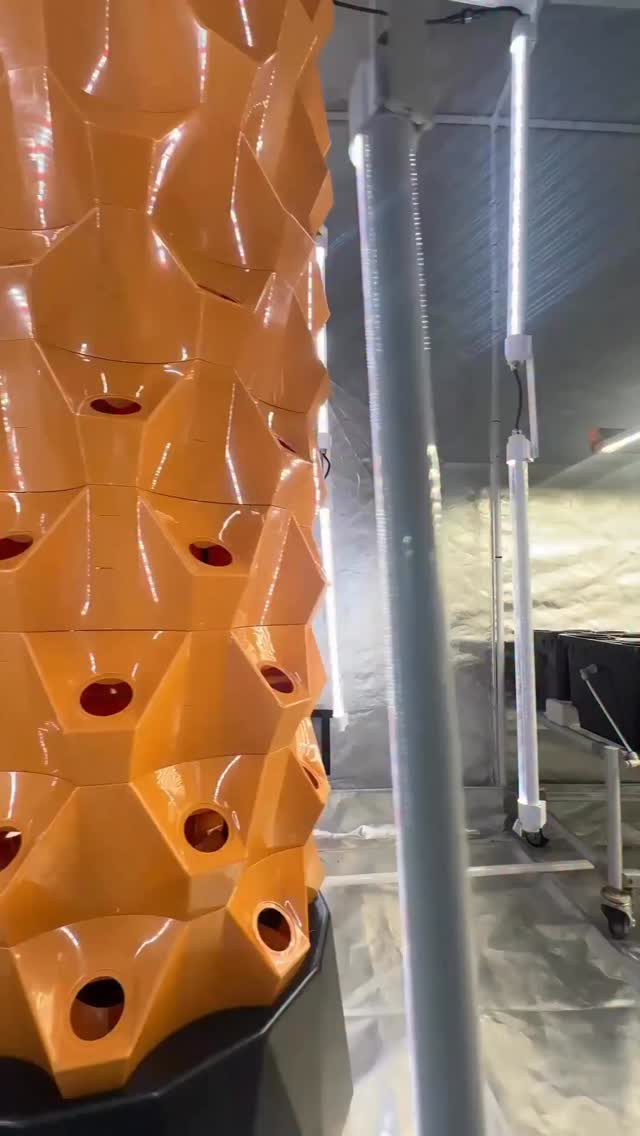 Instagram post from thefreshprincess__. This post is in position 6.