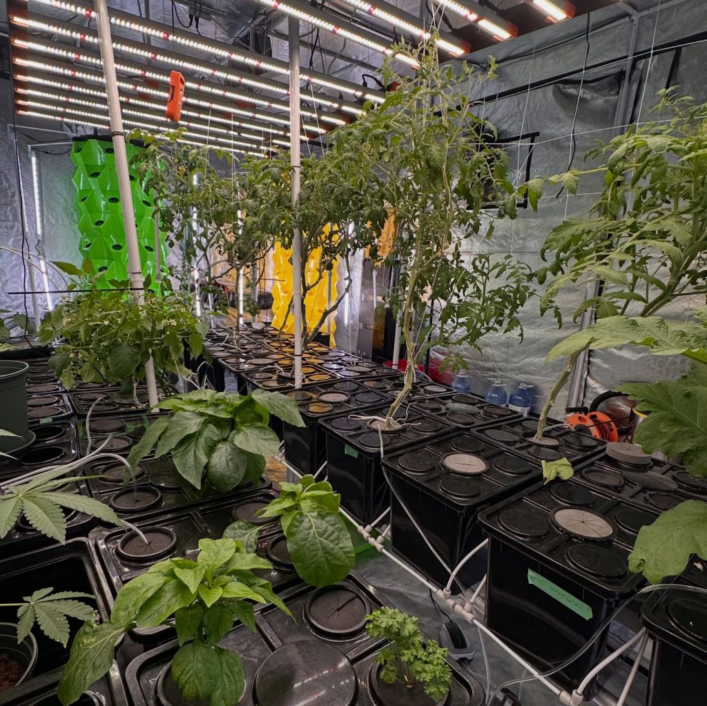 Instagram post from thefreshprincess__. This post is in position 6.