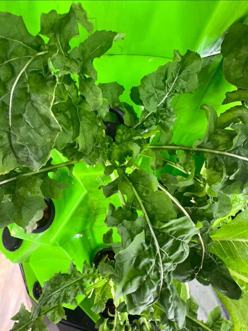 Instagram post from thefreshprincess__. This post is in position 13.