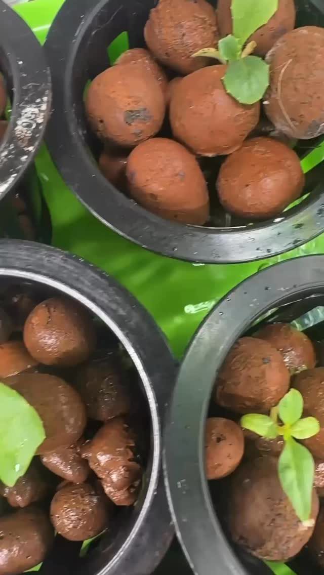 Instagram post from thefreshprincess__. This post is in position 5.