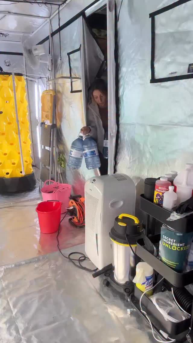 Instagram post from thefreshprincess__. This post is in position 10.