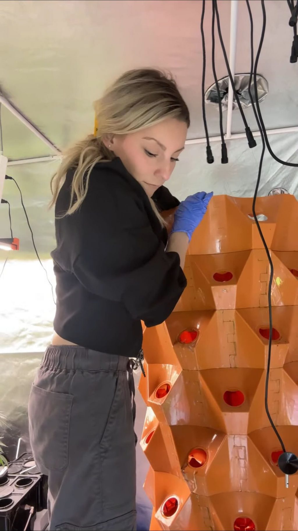 Instagram post from thefreshprincess__. This post is in position 0.