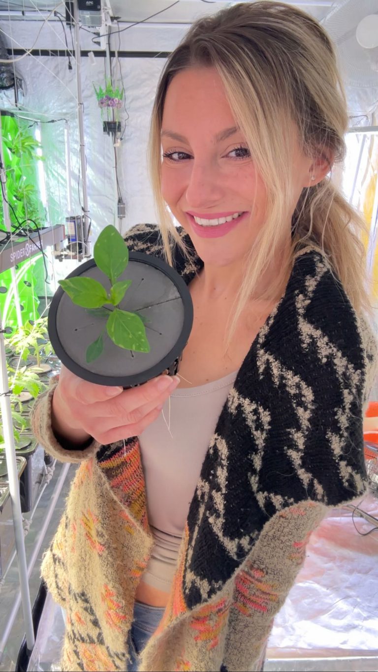 Instagram post from thefreshprincess__. This post is in position 2.