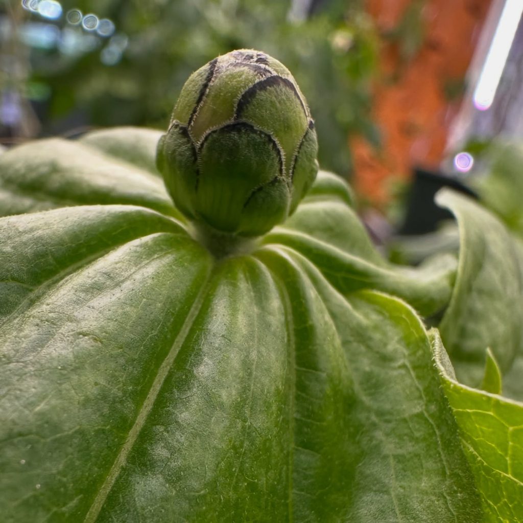 Instagram post from thefreshprincess__. This post is in position 9.