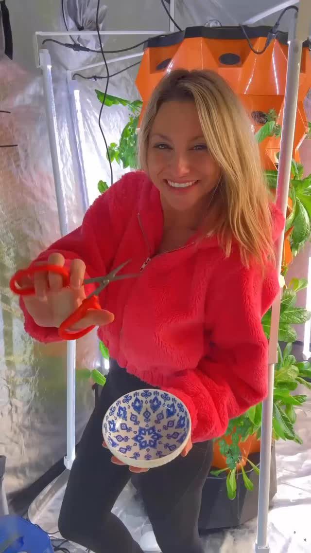 Instagram post from thefreshprincess__. This post is in position 1.