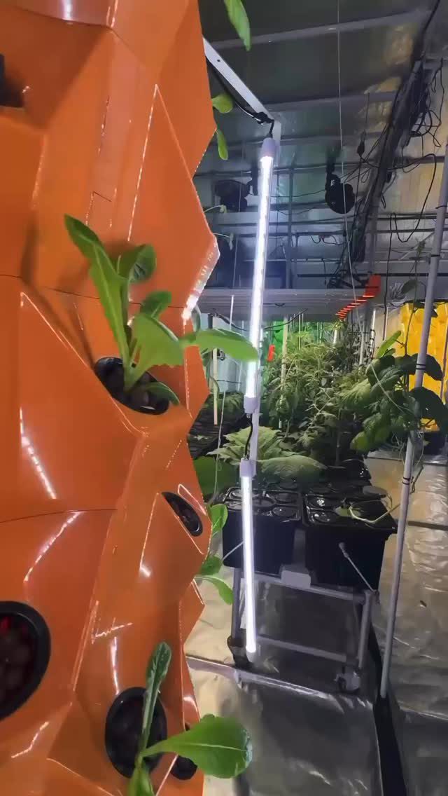 Instagram post from thefreshprincess__. This post is in position 0.