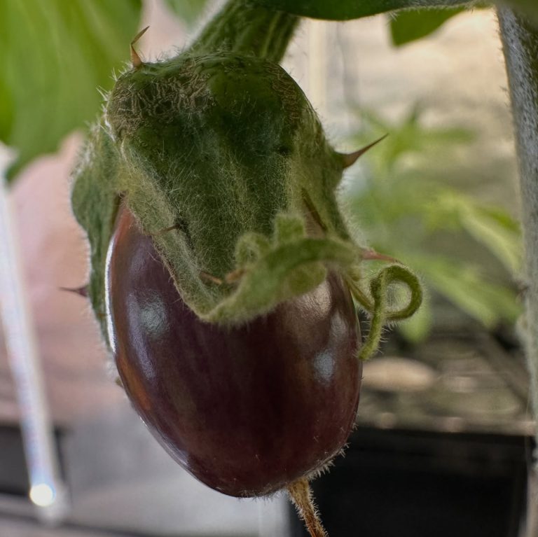 Instagram post from thefreshprincess__. This post is in position 8.