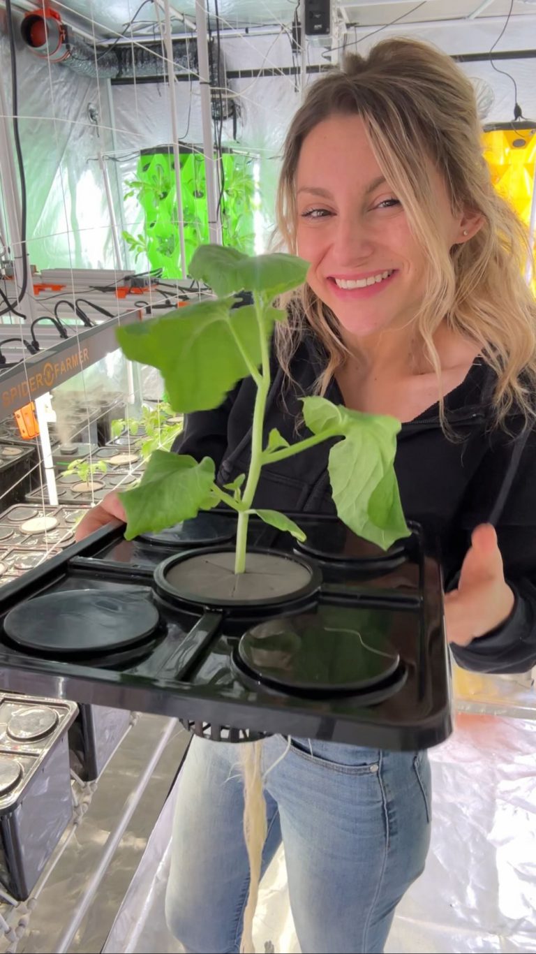 Instagram post from thefreshprincess__. This post is in position 1.