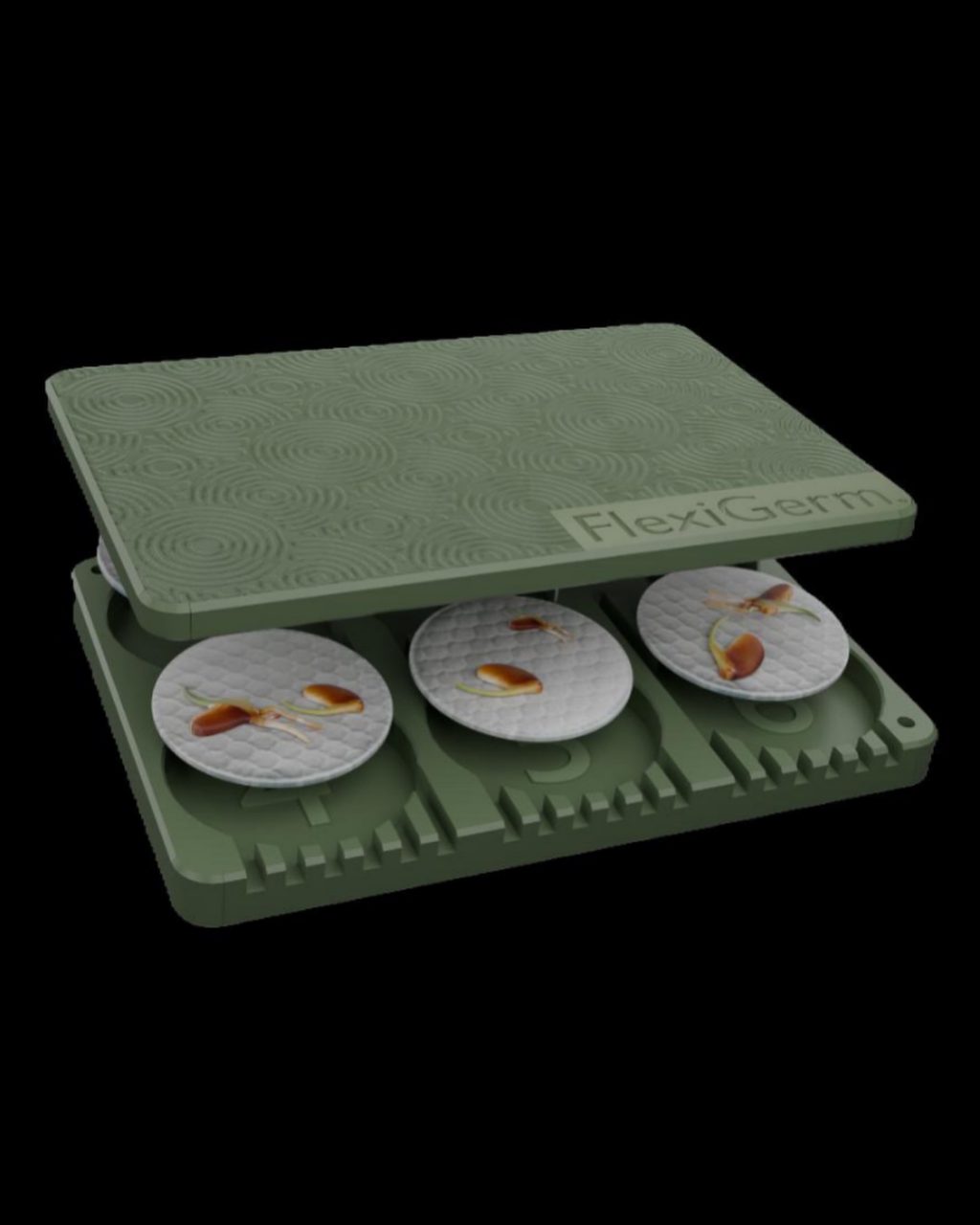 Instagram post from thefreshprincess__. This post is in position 3.