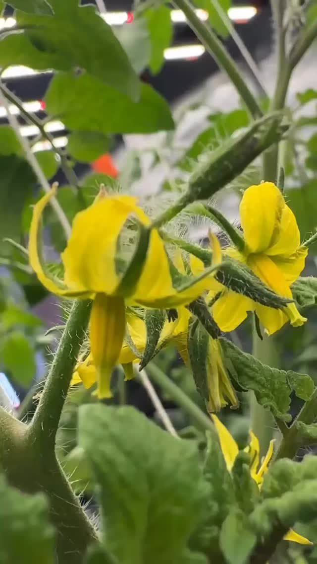 Instagram post from thefreshprincess__. This post is in position 9.