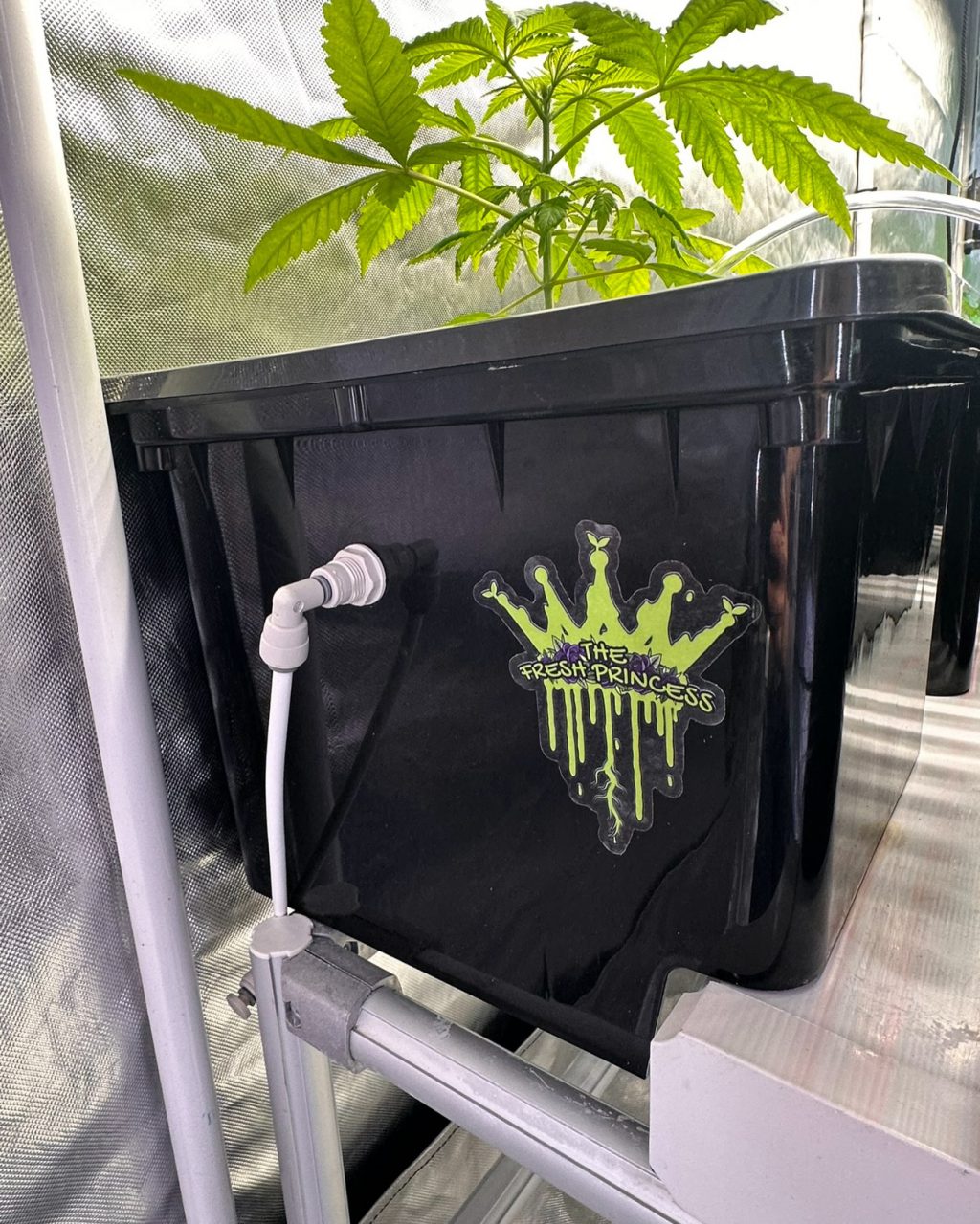 Instagram post from thefreshprincess__. This post is in position 5.